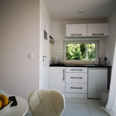 Skandynawskie Dom wakacyjny Pustkowo